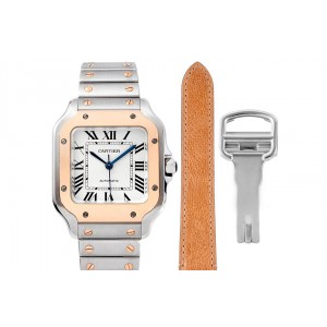 BV/까르띠에 산토스