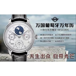 APS/IWC 포르투기저 IW503406