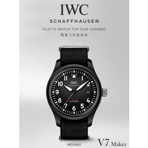 V7/아이더블유씨 파일럿 IW328101