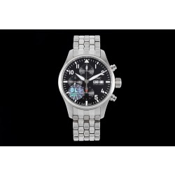 BLS/IWC 파일럿 41MM