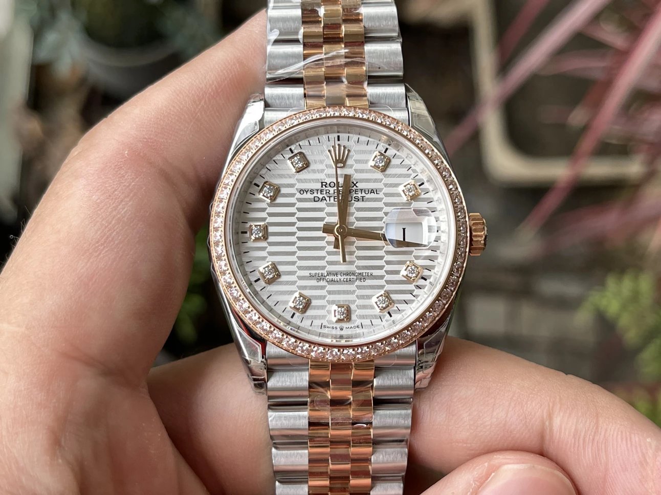 VS/롤렉스 데이저스트 36MM