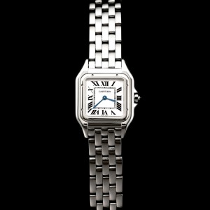 BBA/까르띠에 팬더 스몰 22mm