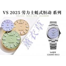 VS/롤렉스 오이스터퍼폐추얼 36MM