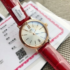 아이더블유씨 포르토피노 IW357401 34mm