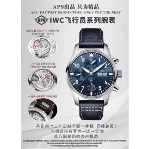 APS/아이더블유씨 파일럿