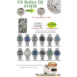 VS/롤렉스 데이저스트 41MM (프리스프렁)
