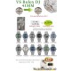 VS/롤렉스 데이저스트 41MM (프리스프렁)